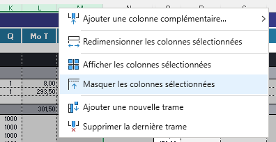 Menu contextuel colonne masquer colonne complémentaire